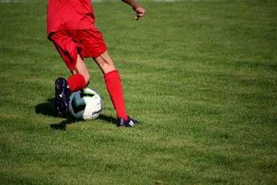 九游体育官方网站-国脚待遇结构调整引导更多球员留在国内发展，国家队国脚