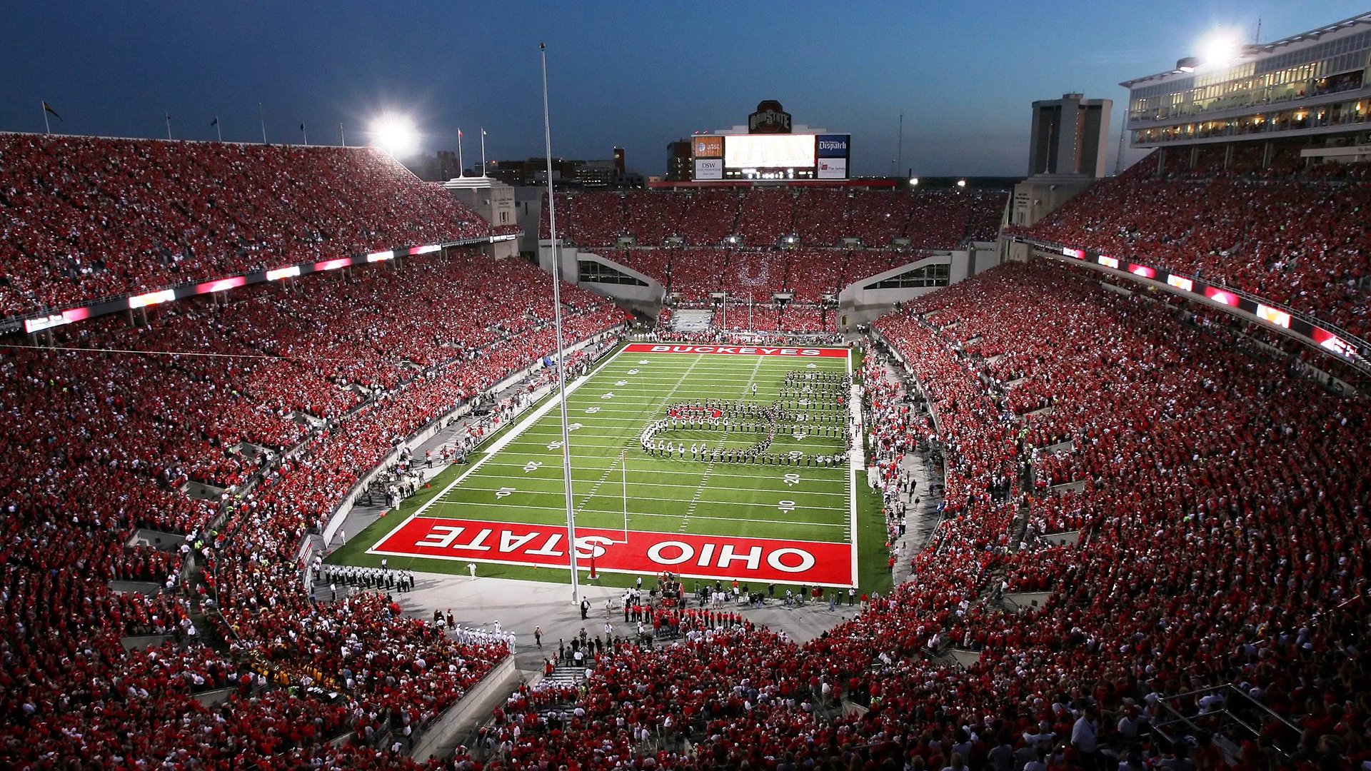 球场奇遇：球迷的趣味性现场故事，球场趣事作文